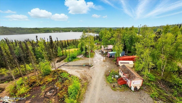 9637 N Buckingham Palace Rd, Willow, AK 99688 - aerial view of a large body of water and a forest