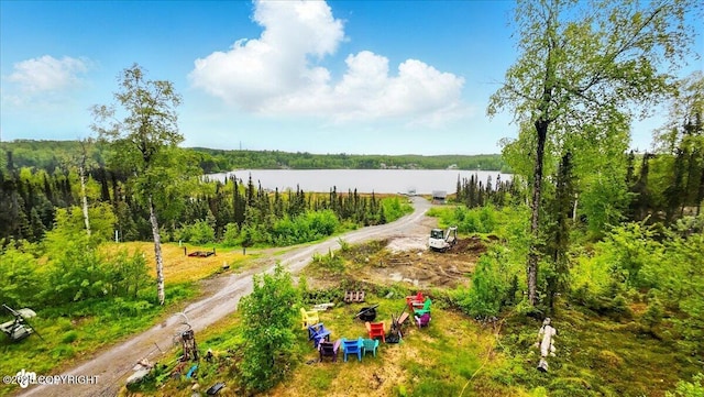 9637 N Buckingham Palace Rd, Willow, AK 99688 - bird's eye view of a large body of water and a heavily wooded area