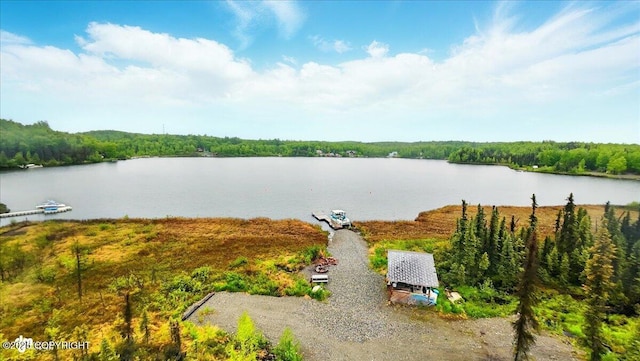 9637 N Buckingham Palace Rd, Willow, AK 99688 - water view featuring a forest
