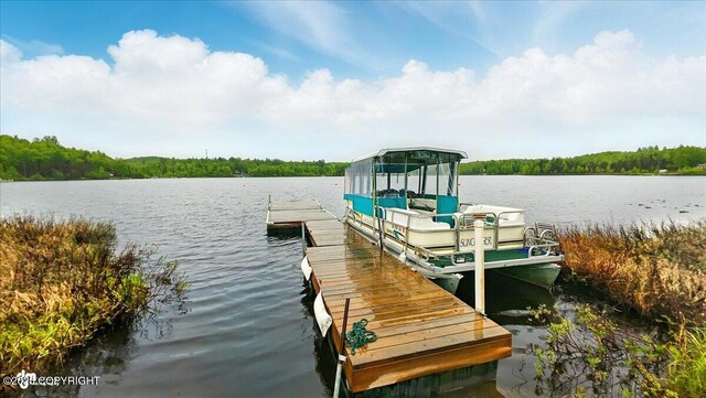 9637 N Buckingham Palace Rd, Willow, AK 99688 - dock featuring a water view and a wooded view