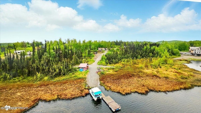 9637 N Buckingham Palace Rd, Willow, AK 99688 - bird's eye view of a nearby body of water