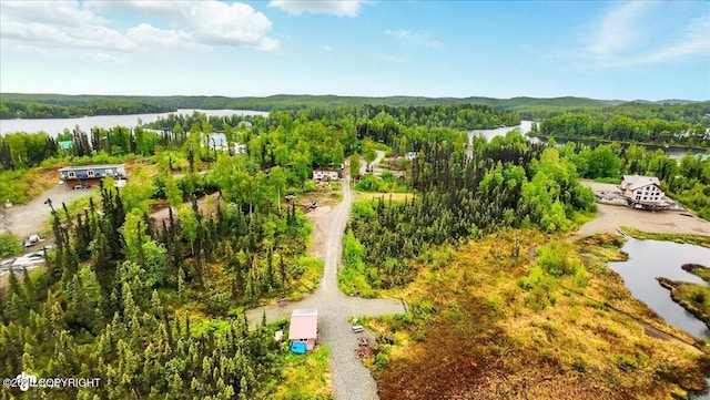 9637 N Buckingham Palace Rd, Willow, AK 99688 - bird's eye view of a heavily wooded area and a large body of water