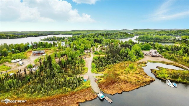 9637 N Buckingham Palace Rd, Willow, AK 99688 - aerial view of a large body of water and a heavily wooded area