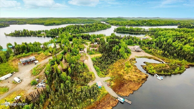 9637 N Buckingham Palace Rd, Willow, AK 99688 - bird's eye view of a nearby body of water and a forest