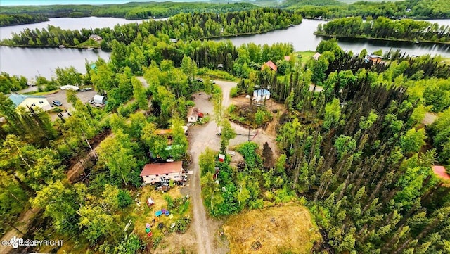 9637 N Buckingham Palace Rd, Willow, AK 99688 - bird's eye view of a nearby body of water and a heavily wooded area