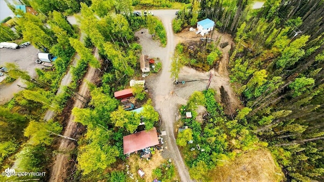 9637 N Buckingham Palace Rd, Willow, AK 99688 - drone / aerial view
