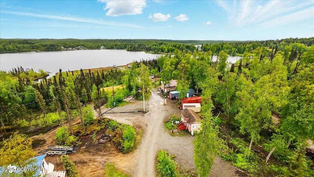 9637 N Buckingham Palace Rd, Willow, AK 99688 - bird's eye view of a large body of water and a forest
