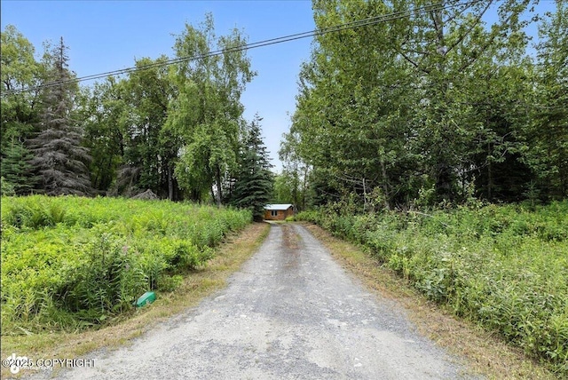 33375 Skyline Dr, Soldotna, AK 99669 - photo 66