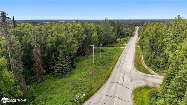 33375 Skyline Dr, Soldotna, AK 99669 - photo 71