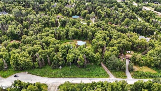 33375 Skyline Dr, Soldotna, AK 99669 - photo 72