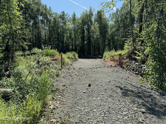 49892 S Silver Salmon Dr, Willow, AK 99688