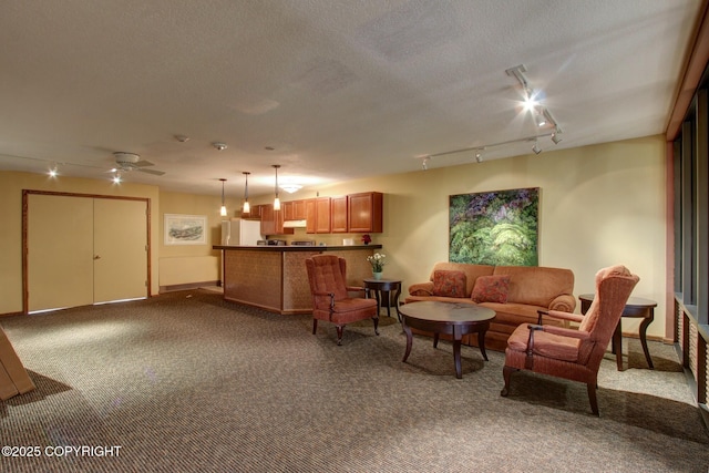 333 M St # 402, Anchorage, AK 99501 - living room featuring dark colored carpet, rail lighting, and a textured ceiling
