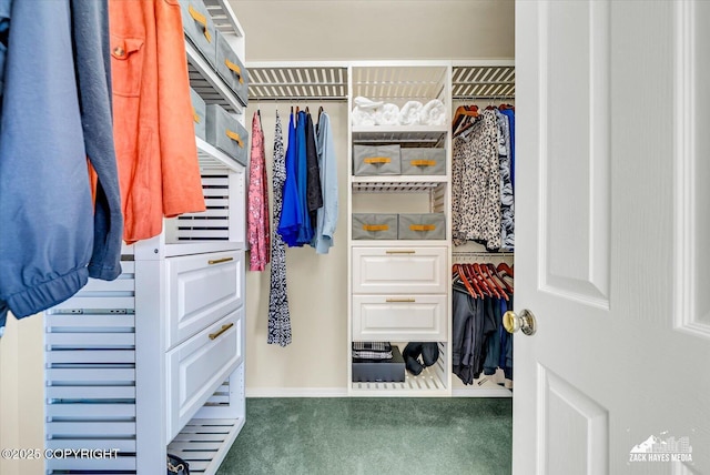 10201 Sextant Cir, Anchorage, AK 99515 - walk in closet featuring carpet flooring