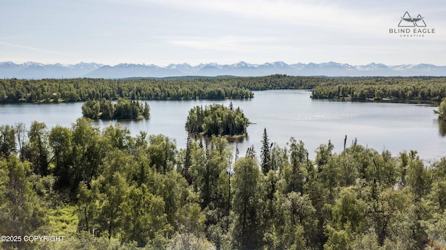 22235 S Twin Island Dr, Wasilla, AK 99654