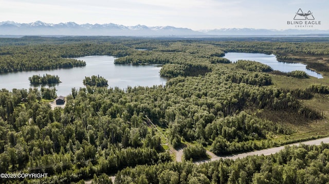 22235 S Twin Island Dr, Wasilla, AK 99654