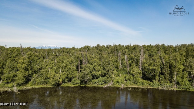 22235 S Twin Island Dr, Wasilla, AK 99654
