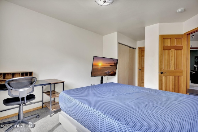 4160 Crannog St, Anchorage, AK 99502 - carpeted bedroom with baseboards and a closet