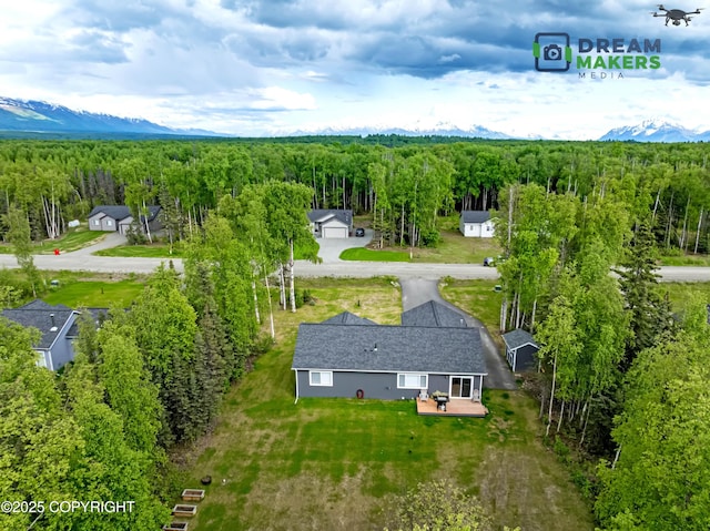 4124 N Coronado St, Wasilla, AK 99623 - view from above of property featuring a forest and a mountain backdrop