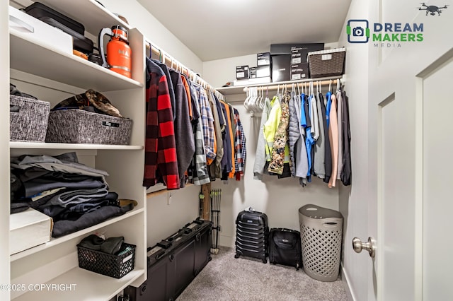4124 N Coronado St, Wasilla, AK 99623 - spacious closet with carpet floors