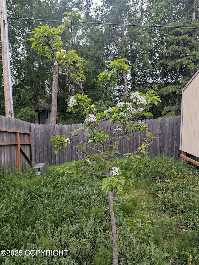 7324 Zurich St, Anchorage, AK 99507 - view of yard