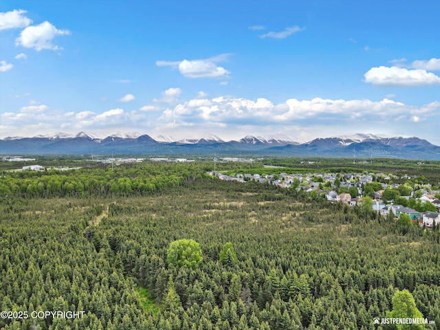 2353 Maritime Loop, Anchorage, AK 99515 - view of mountain backdrop featuring a forest