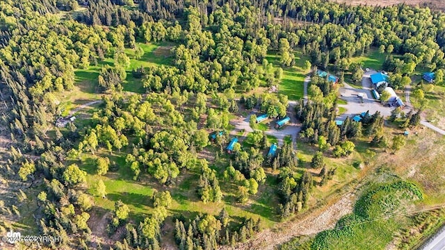 13364 Sterling Hwy, Ninilchik, AK 99639 - aerial view of property's location