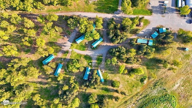 13364 Sterling Hwy, Ninilchik, AK 99639 - view of property location