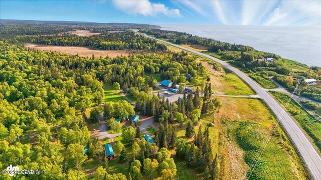 13364 Sterling Hwy, Ninilchik, AK 99639 - aerial view of property and surrounding area featuring a nearby body of water and a forest
