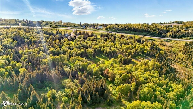 13364 Sterling Hwy, Ninilchik, AK 99639 - aerial view