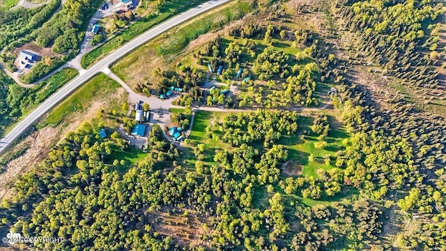 13364 Sterling Hwy, Ninilchik, AK 99639 - aerial overview of property's location