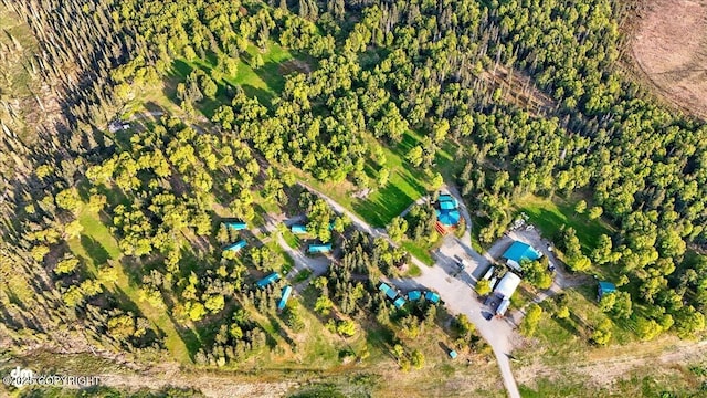 13364 Sterling Hwy, Ninilchik, AK 99639 - aerial view of property and surrounding area
