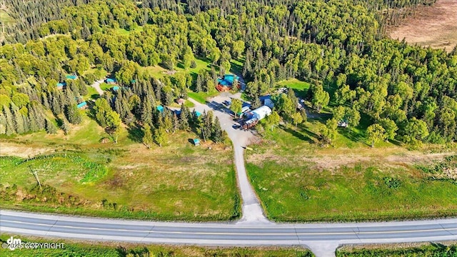 13364 Sterling Hwy, Ninilchik, AK 99639 - bird's eye view of a forest