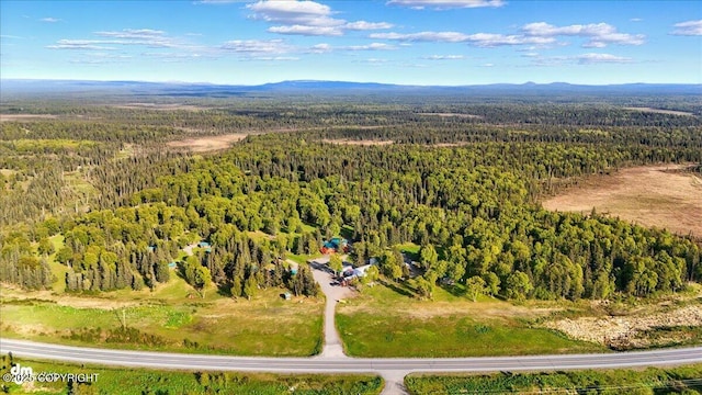 13364 Sterling Hwy, Ninilchik, AK 99639 - aerial view of property's location with a heavily wooded area and a mountainous background