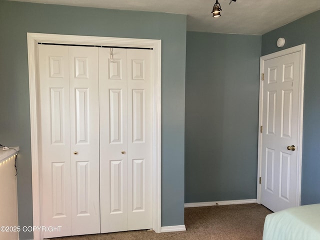 22909 Green Garden Dr, Chugiak, AK 99567 - bedroom featuring carpet, a closet, and baseboards