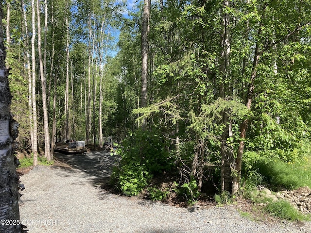22909 Green Garden Dr, Chugiak, AK 99567 - view of road