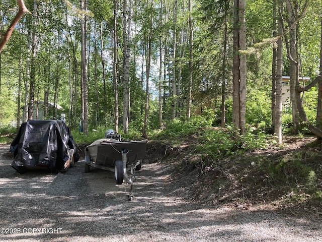 22909 Green Garden Dr, Chugiak, AK 99567 - view of yard with a view of trees