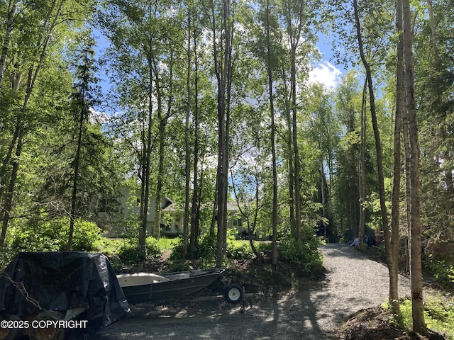 22909 Green Garden Dr, Chugiak, AK 99567 - view of road