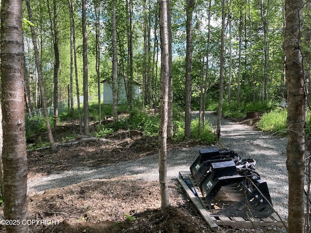 22909 Green Garden Dr, Chugiak, AK 99567 - view of yard
