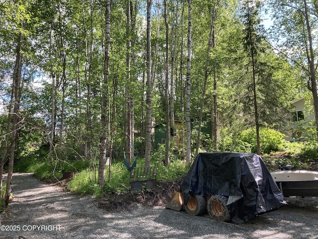 22909 Green Garden Dr, Chugiak, AK 99567 - view of patio / terrace featuring grilling area