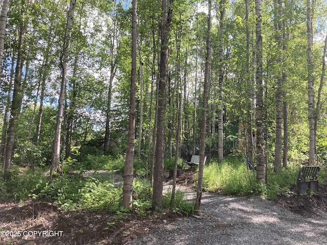 22909 Green Garden Dr, Chugiak, AK 99567 - view of wooded area