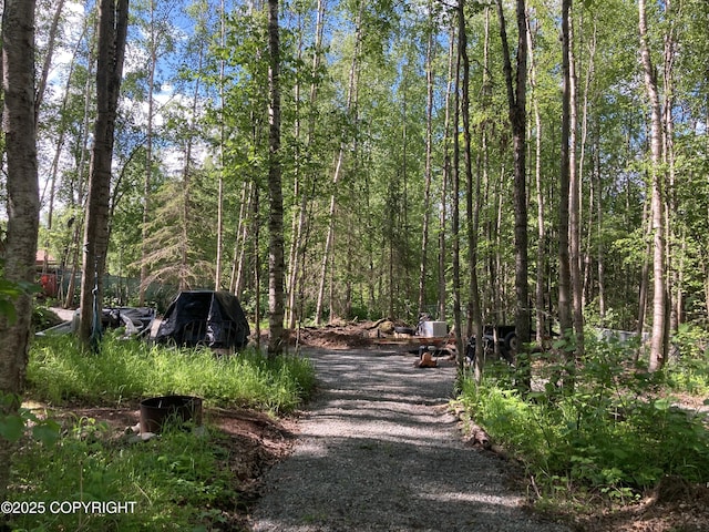22909 Green Garden Dr, Chugiak, AK 99567 - view of street featuring a wooded view