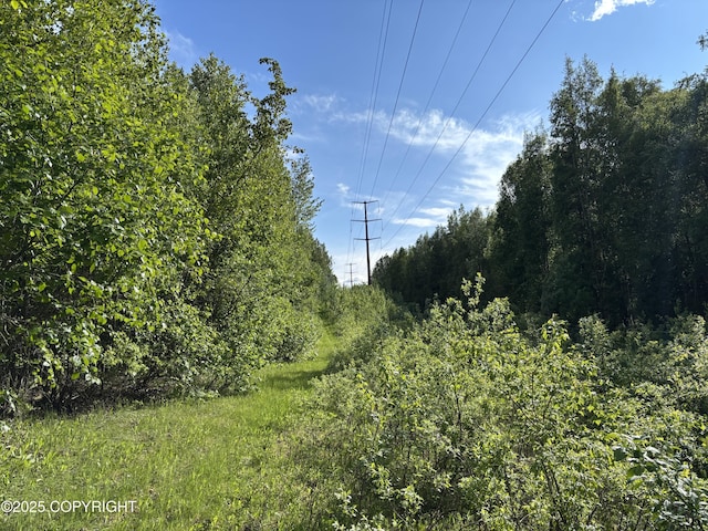 22909 Green Garden Dr, Chugiak, AK 99567 - view of local wilderness