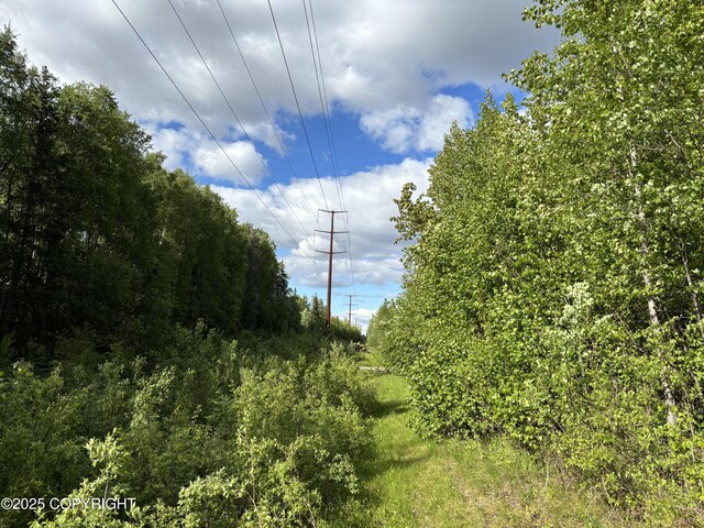 22909 Green Garden Dr, Chugiak, AK 99567 - view of local wilderness