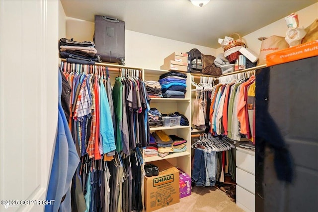 2700 S Hatcher Pass St, Wasilla, AK 99623 - walk in closet with carpet floors