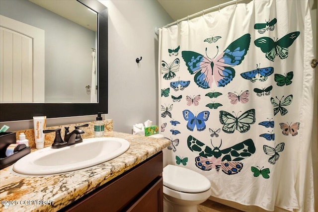 2700 S Hatcher Pass St, Wasilla, AK 99623 - full bathroom with vanity, toilet, and a shower with shower curtain