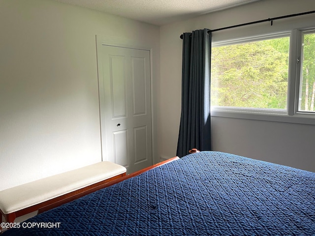 7700 E 32nd Ave, Anchorage, AK 99504 - view of bedroom