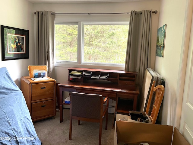 7700 E 32nd Ave, Anchorage, AK 99504 - bedroom featuring carpet and an office area