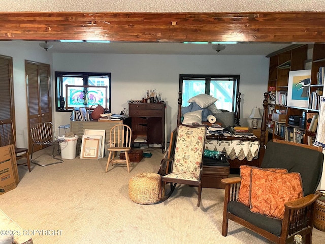7700 E 32nd Ave, Anchorage, AK 99504 - living area with carpet
