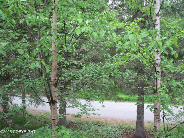 7700 E 32nd Ave, Anchorage, AK 99504 - view of undeveloped land