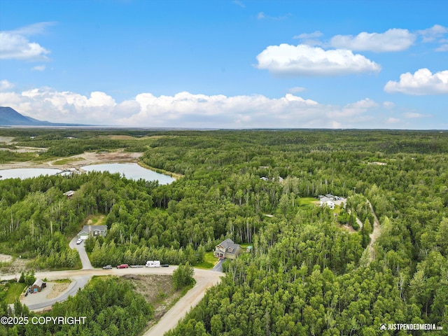 542 S Tender Arctic Dr, Palmer, AK 99645 - aerial view of a forest and a nearby body of water